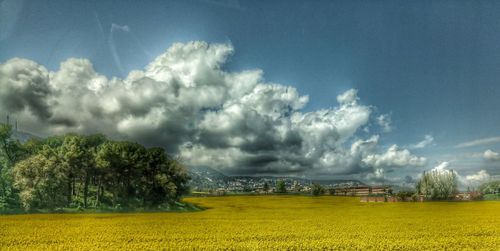 Scenic view of agricultural field against sky