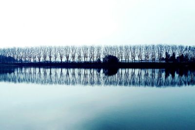 Reflection of trees in calm lake