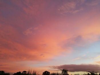 Silhouette trees against dramatic sky during sunset