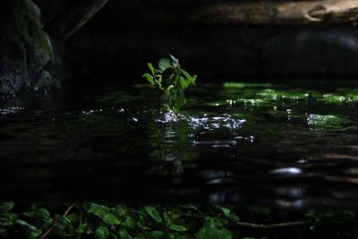 Reflection of statue in lake