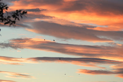 Low angle view of orange sky