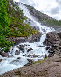 Scenic view of waterfall in forest