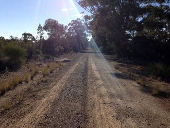 Dirt road amidst trees against sky