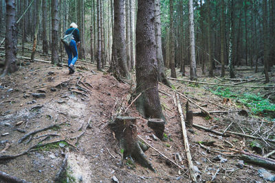 Rear view of woman walking at forest