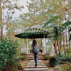 Rear view of woman walking in park