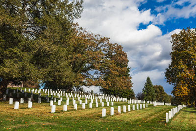 Rows of headstones in soldiers' national cemetery at gettysburg national military park in pa