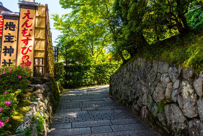 Footpath amidst trees in park