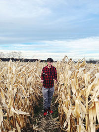 Rear view of young man in a corn maze with sky in background 