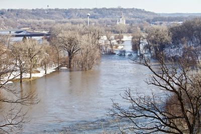 Scenic view of river amidst trees against sky