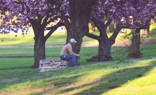 Trees growing on grassy field in park