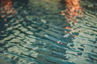 High angle view of leaf floating on water