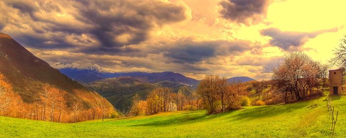 Scenic view of field against sky