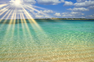 Beautiful coral reef sea in okinawa