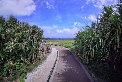 Road amidst trees on field against sky