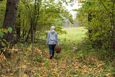 Rear view of man standing in forest