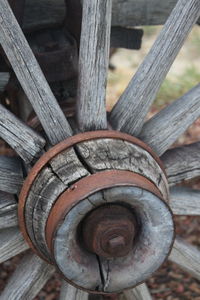 Close-up of wood