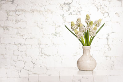 Close-up of vase against white wall at home
