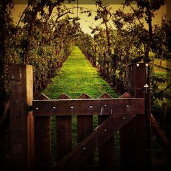 Fence on grassy field