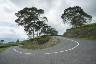 Climbing and winding road in tea garden