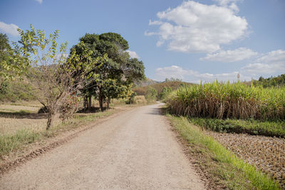 Road amidst trees on field against sky