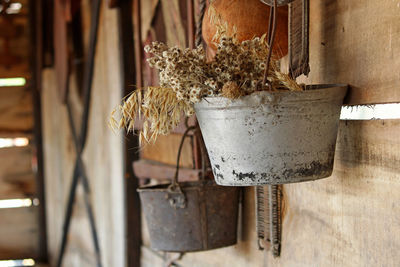 Close-up of potted plant hanging by wall outdoors