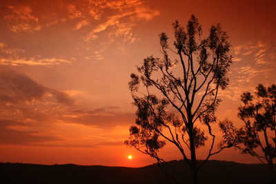 Low angle view of silhouette tree against romantic sky at sunset