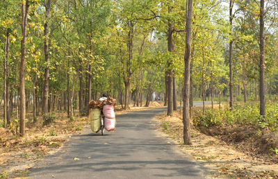 Rear view of woman walking on footpath in forest