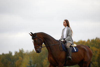 Rear view of man riding horse on field