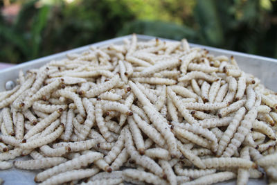 High angle view of crab in market