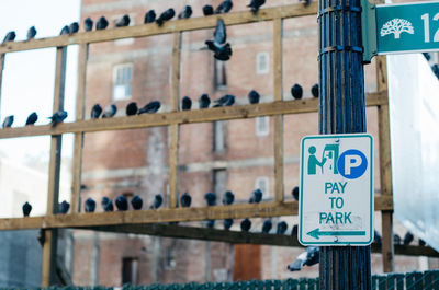 Close-up of road sign on pole against building