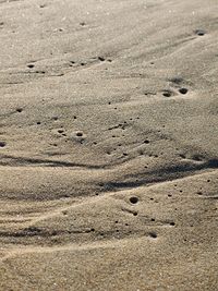 High angle view of footprints on sand at beach