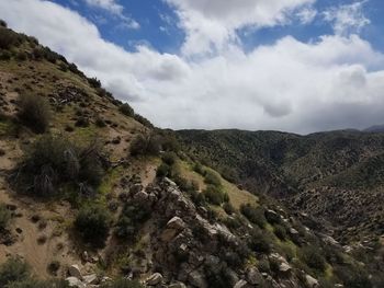 Low angle view of trees on landscape against sky