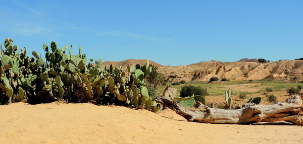 Scenic view of desert against clear blue sky