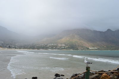 Seagull on fence against sea and mountains during foggy weather