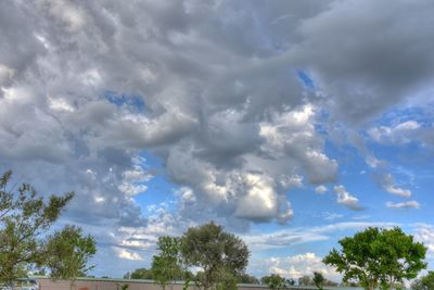 Low angle view of trees against sky