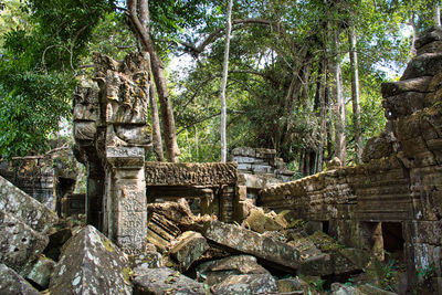 Old ruins against trees in forest