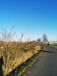 Road by plants against clear blue sky