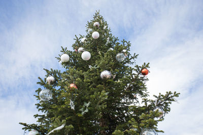 Low angle view of christmas tree against sky