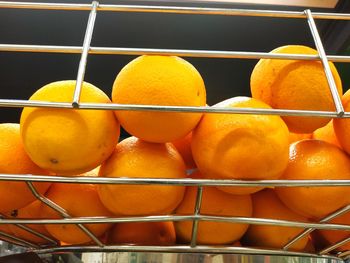 Close-up of orange fruits