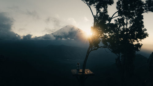 Silhouette tree by mountains against sky during sunset