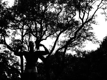 Low angle view of trees against sky