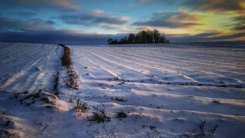 Scenic view of snow covered field against sky during sunset