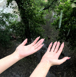 Cropped hand of woman touching tree against plants