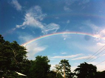 Low angle view of trees against cloudy sky