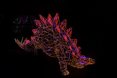 Close-up of illuminated dinosaur at night