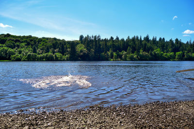 Scenic view of river against sky