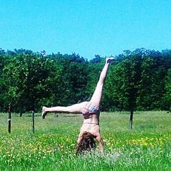 Scenic view of grassy field against blue sky