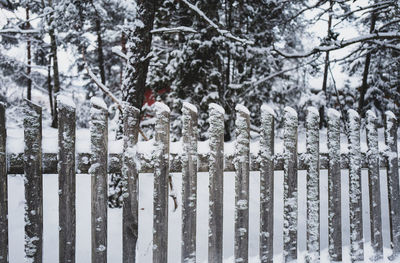 Close-up of snow covered field