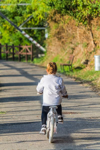 Rear view of man riding bicycle on road