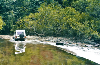 Vintage car by trees against plants